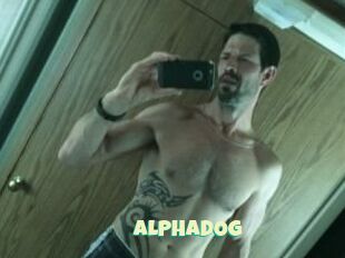 ALPHADOG