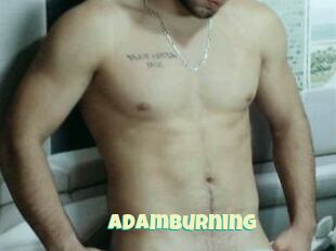 AdamBurning