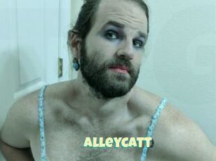 AlleyCatt