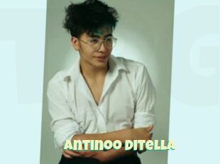 Antinoo_ditella