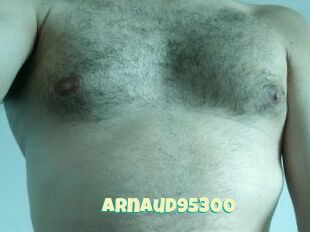 Arnaud95300