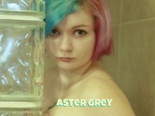 Aster_Grey