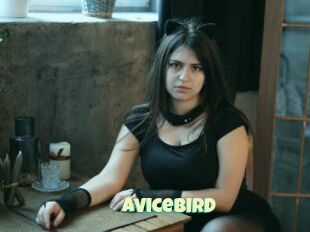 AviceBird