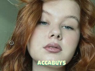 Accabuys