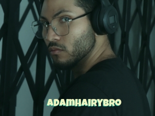 Adamhairybro