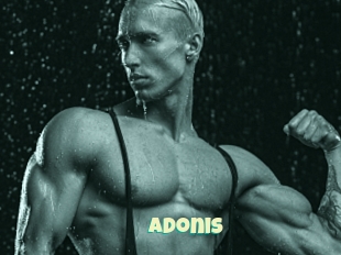 Adonis