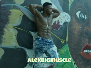 Alexbigmuscle