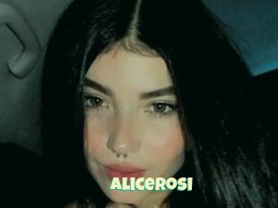 Alicerosi