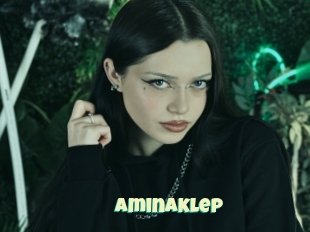 Aminaklep