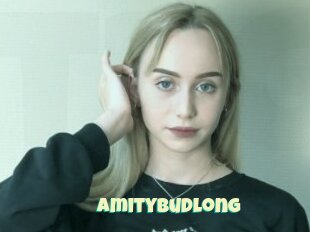 Amitybudlong