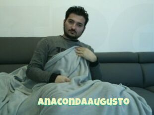 Anacondaaugusto