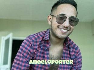 Angeloporter