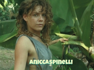 Aniccaspinelli