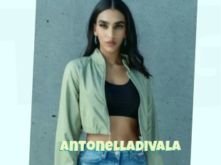 Antonelladivala