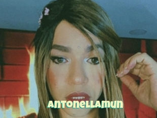 Antonellamun