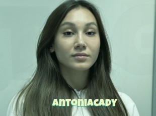 Antoniacady