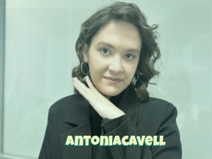 Antoniacavell