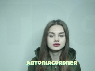 Antoniacordner