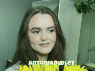 Antoniadudley