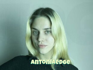 Antoniaedge