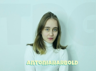 Antoniaharbold