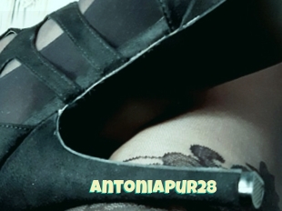 Antoniapur28