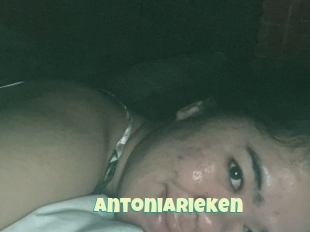 Antoniarieken