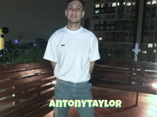 Antonytaylor