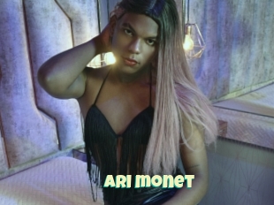 Ari_monet