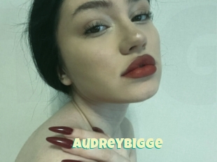 Audreybigge