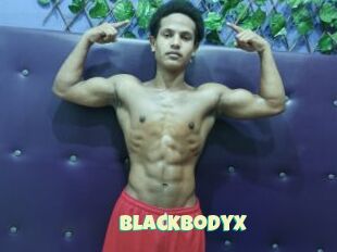 BlackBodyX