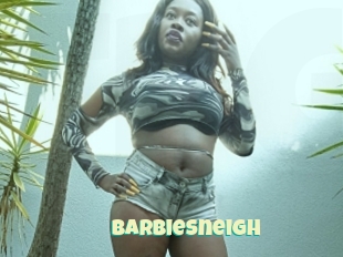Barbiesneigh