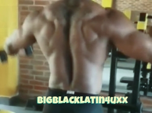 Bigblacklatin4uxx