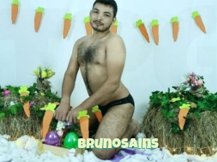 Brunosains