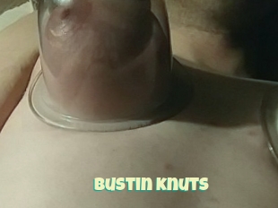 Bustin_knuts