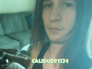 Calidude1134