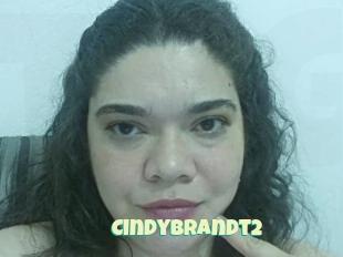 Cindybrandt2