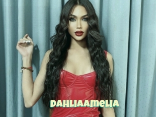 Dahliaamelia