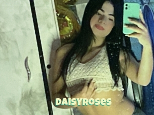 Daisyroses