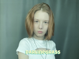 Darlinegrass