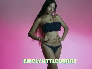 EmelyLittleBunny