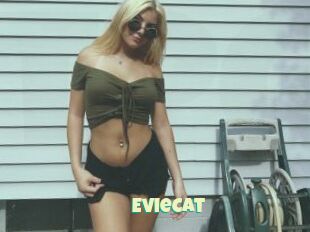 EvieCat