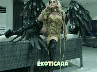 ExoticAra