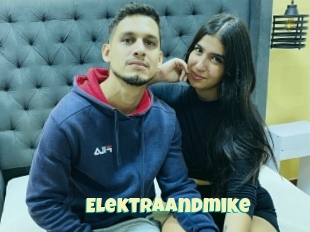 Elektraandmike