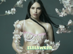 Elihawker