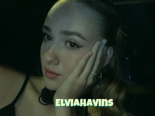 Elviahavins