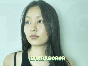 Elvinaborer