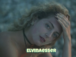 Elvinaesser