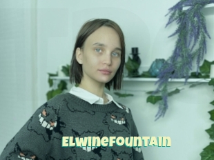 Elwinefountain