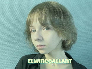 Elwinegallant